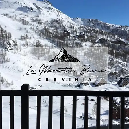 La Marmotta Bianca In Out Breuil-Cervinia